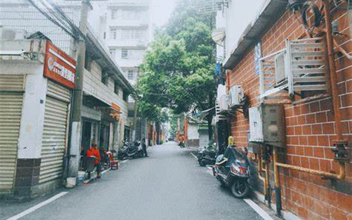 张雨霏说低估了尔滨的冷